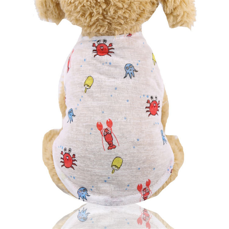 5 Colors Summer Lovely Cartoon - Summer Clothing Colors avaliação e preço