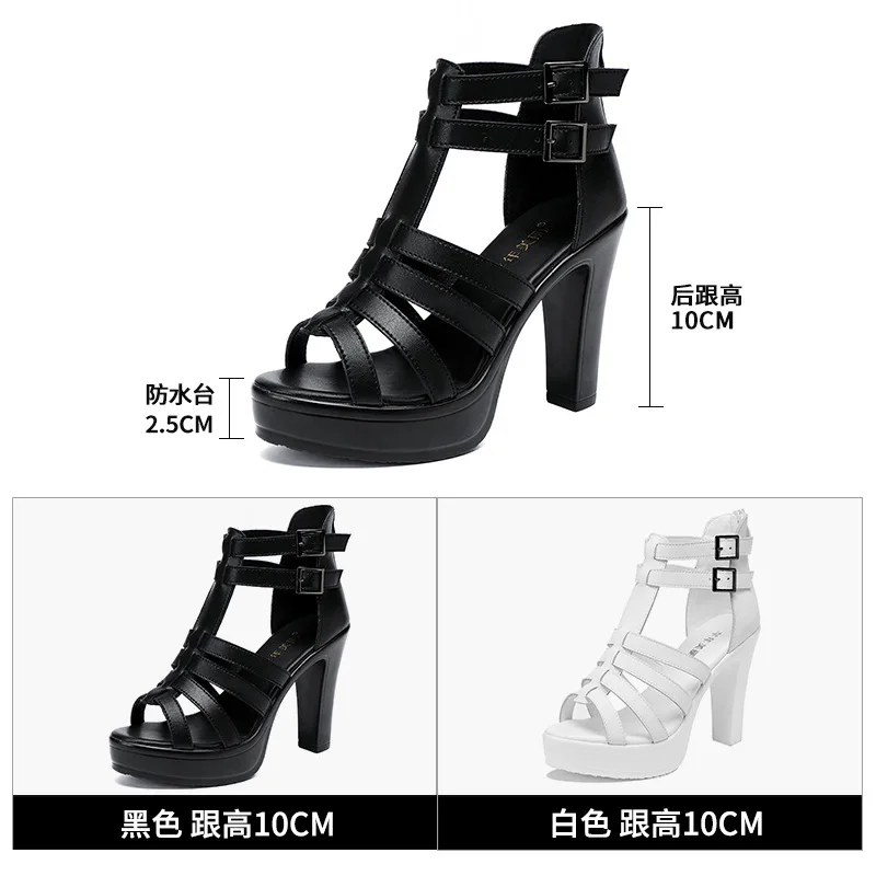 Gladiator Ladies Shoe for Wome - Summer Clothing Collection avaliação e preço
